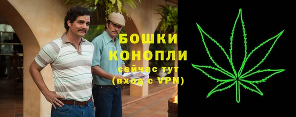 первитин Туринск