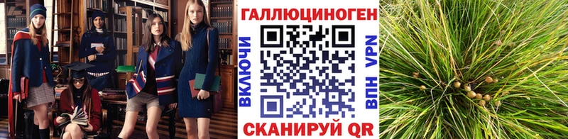 Галлюциногенные грибы Magic Shrooms  Новоржев 